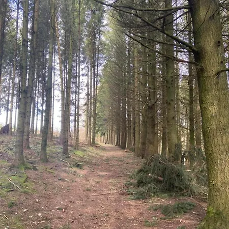 Σπίτι διακοπών Maison Aunais Houffalize